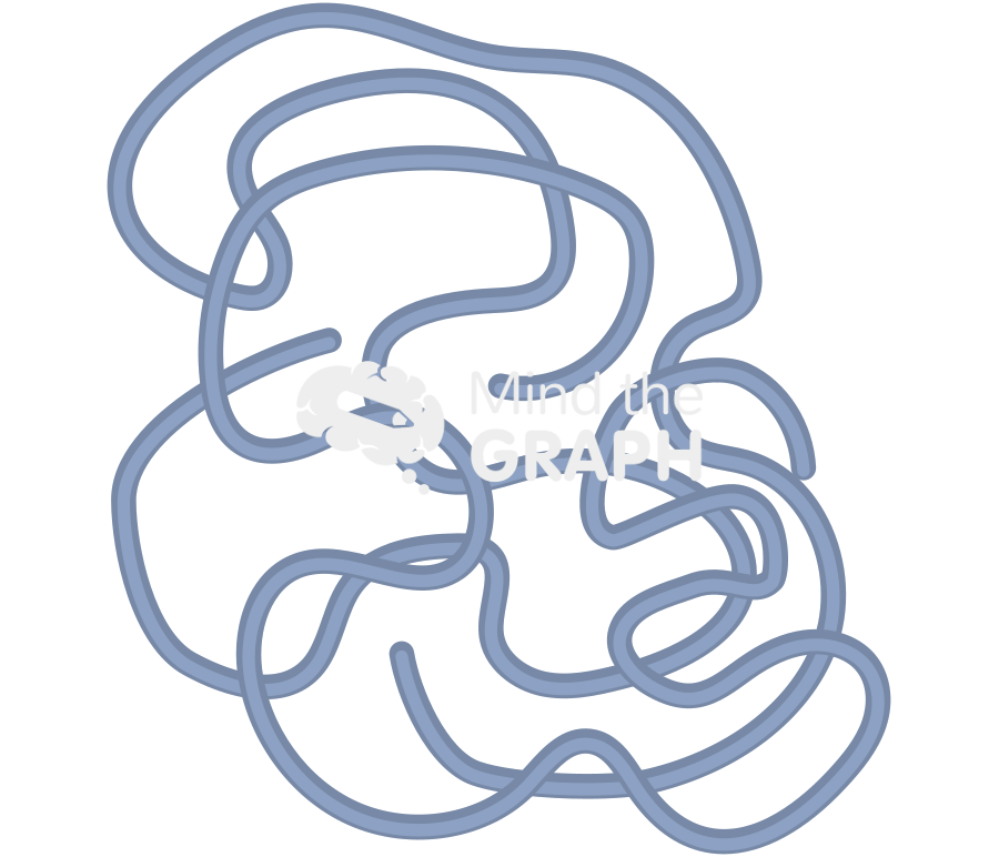 Nucleus chromatin Icons, Symbols, Pictures, and Images