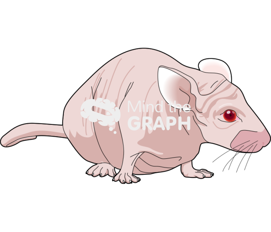 Nude 1 Icons, Symbols, Pictures, and Images