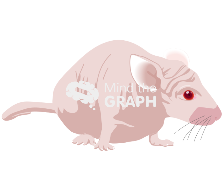 Nude 1 Icons, Symbols, Pictures, and Images