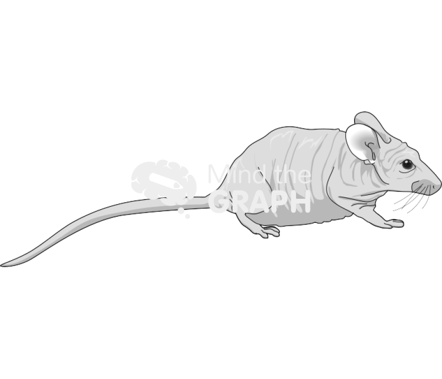 Nude 2 Icons, Symbols, Pictures, and Images