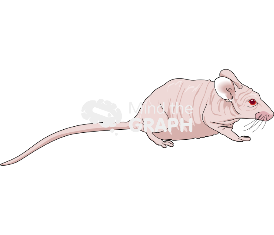 Nude 2 Icons, Symbols, Pictures, and Images