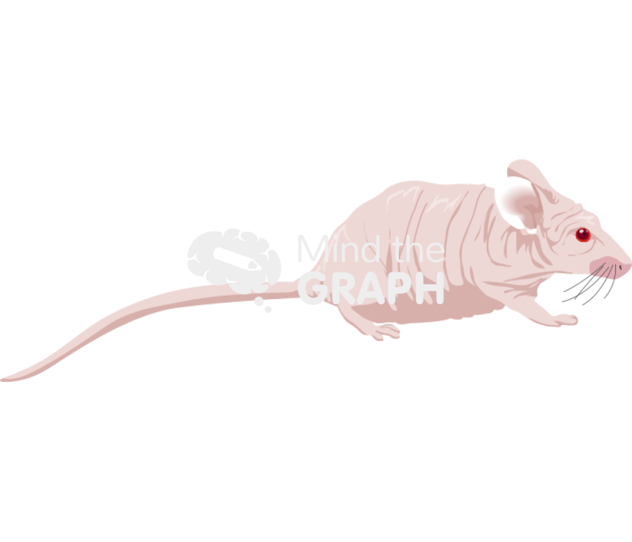 Nude 2 Icons, Symbols, Pictures, and Images