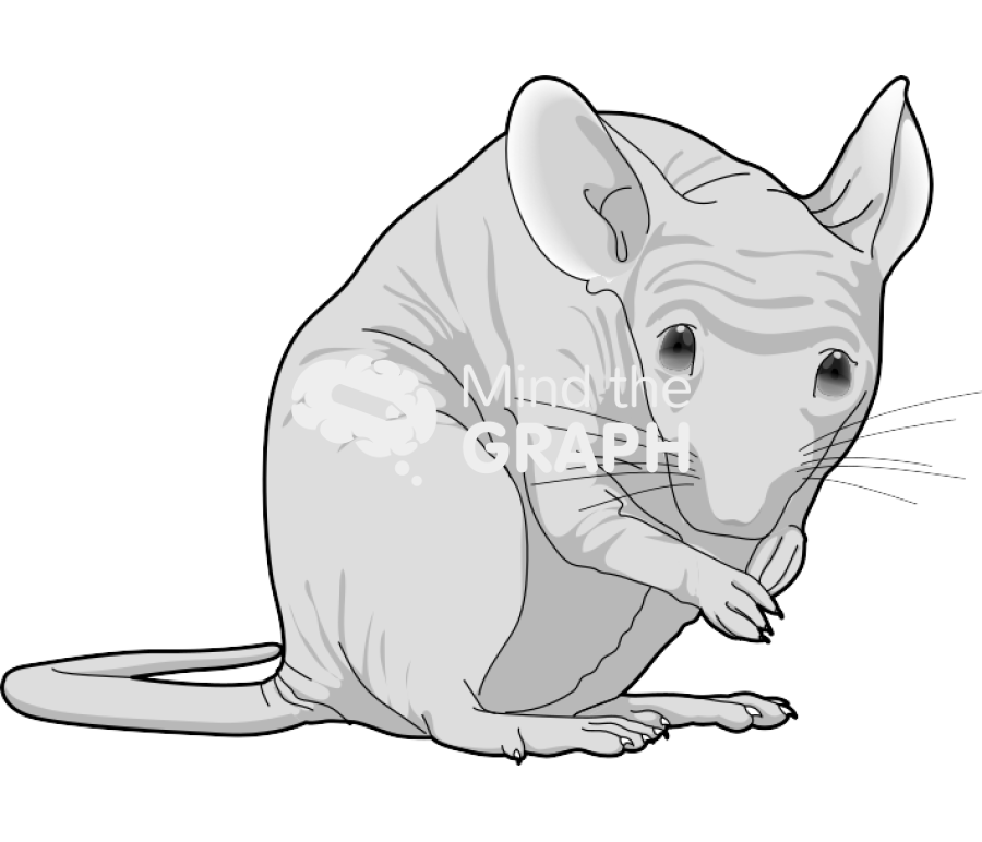 Nude 3 Icons, Symbols, Pictures, and Images