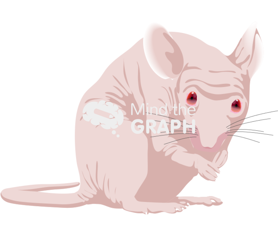 Nude 3 Icons, Symbols, Pictures, and Images