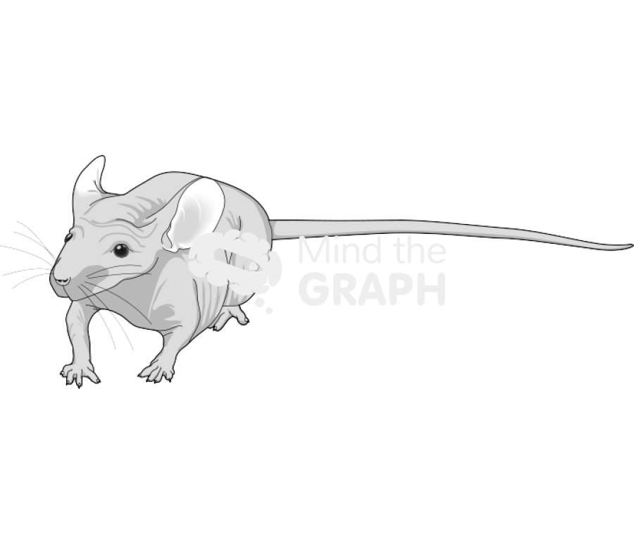 Nude 4 Icons, Symbols, Pictures, and Images