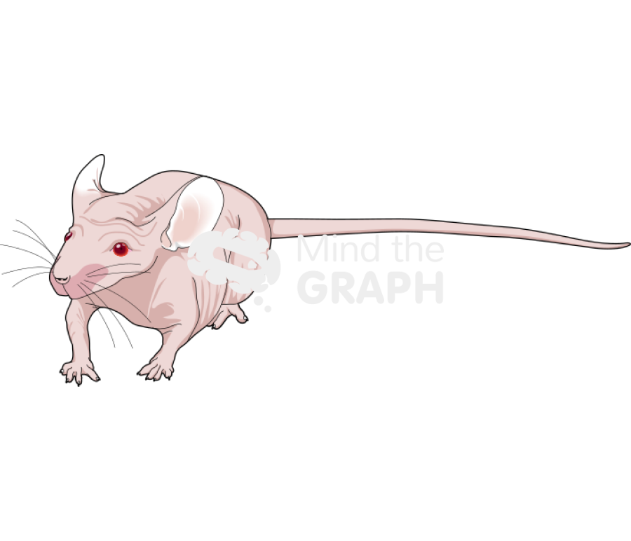 Nude 4 Icons, Symbols, Pictures, and Images