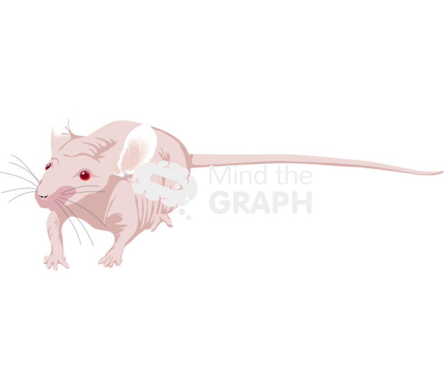 Nude 4 Icons, Symbols, Pictures, and Images