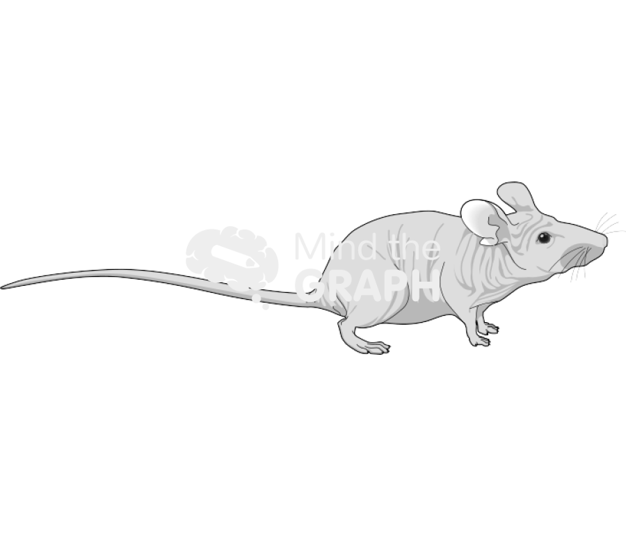 Free Nude 5 Icons, Symbols, Pictures, and Images | Mind the Graph