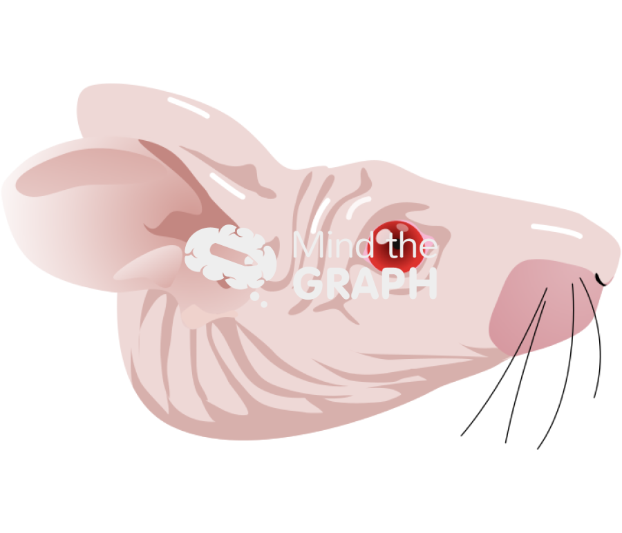 Nude head Icons, Symbols, Pictures, and Images