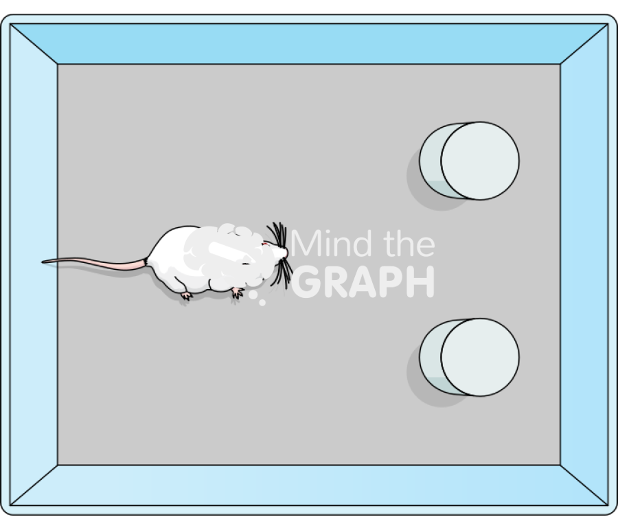 Object recognition test 1 Icons, Symbols, Pictures, and Images