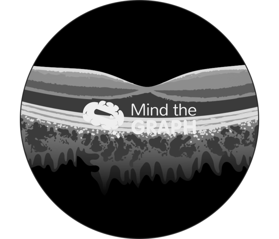 Oct optical coherence tomography zoom Icons, Symbols, Pictures, and Images