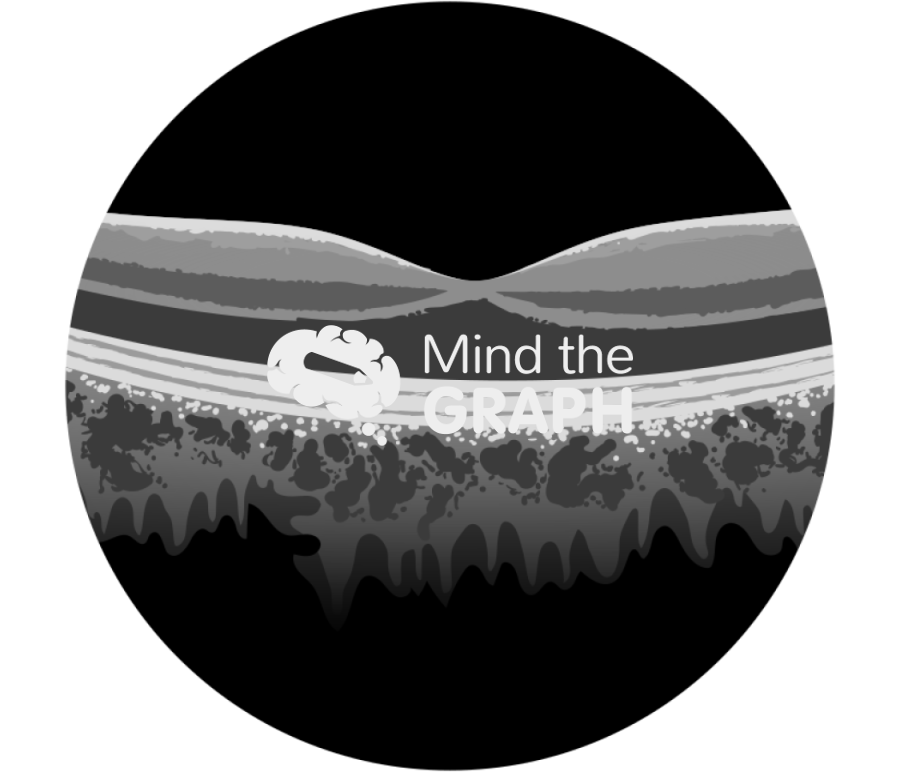 Oct optical coherence tomography zoom Icons, Symbols, Pictures, and Images