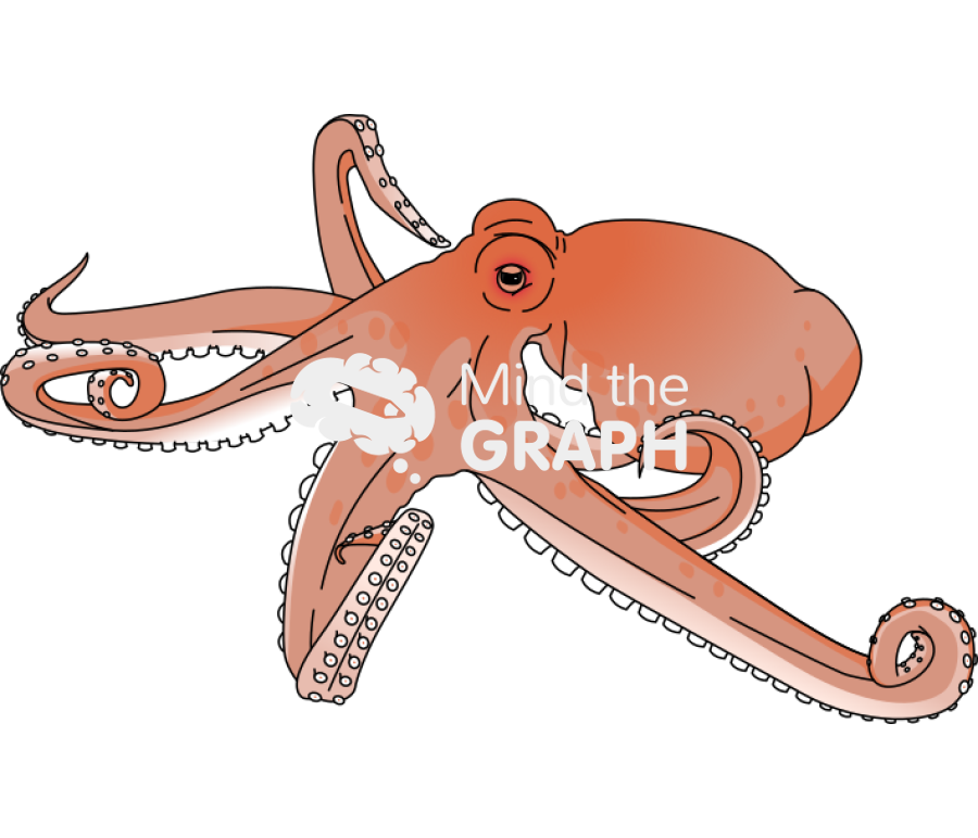 Octopus mimus Icons, Symbols, Pictures, and Images