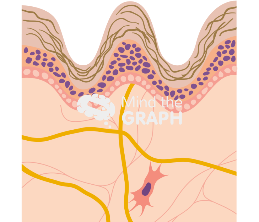 Old skin cut Icons, Symbols, Pictures, and Images