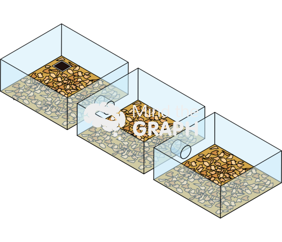 Olfactory discrimination Icons, Symbols, Pictures, and Images