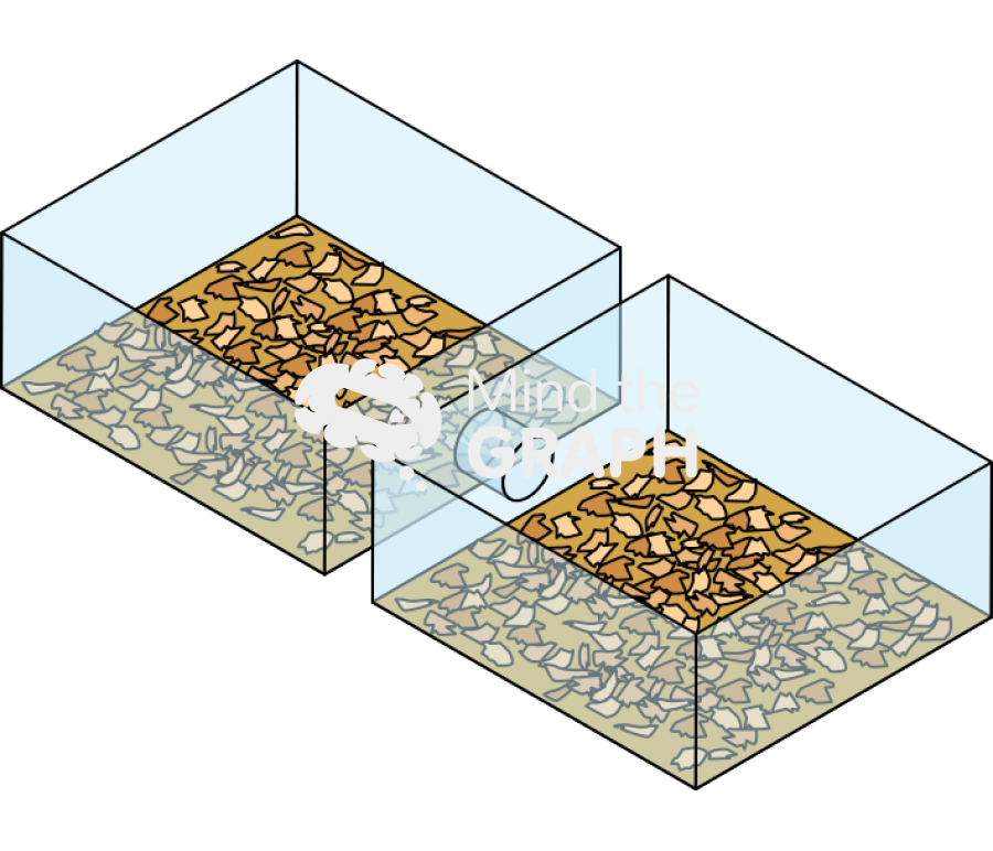 Olfactory discrimination 2 Icons, Symbols, Pictures, and Images