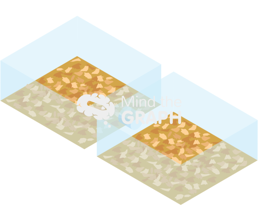 Olfactory discrimination 2 Icons, Symbols, Pictures, and Images