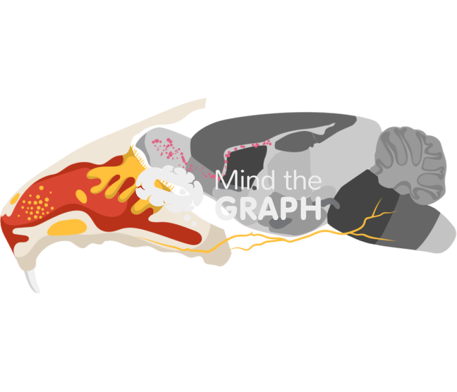 Olfactory rat Icons, Symbols, Pictures, and Images