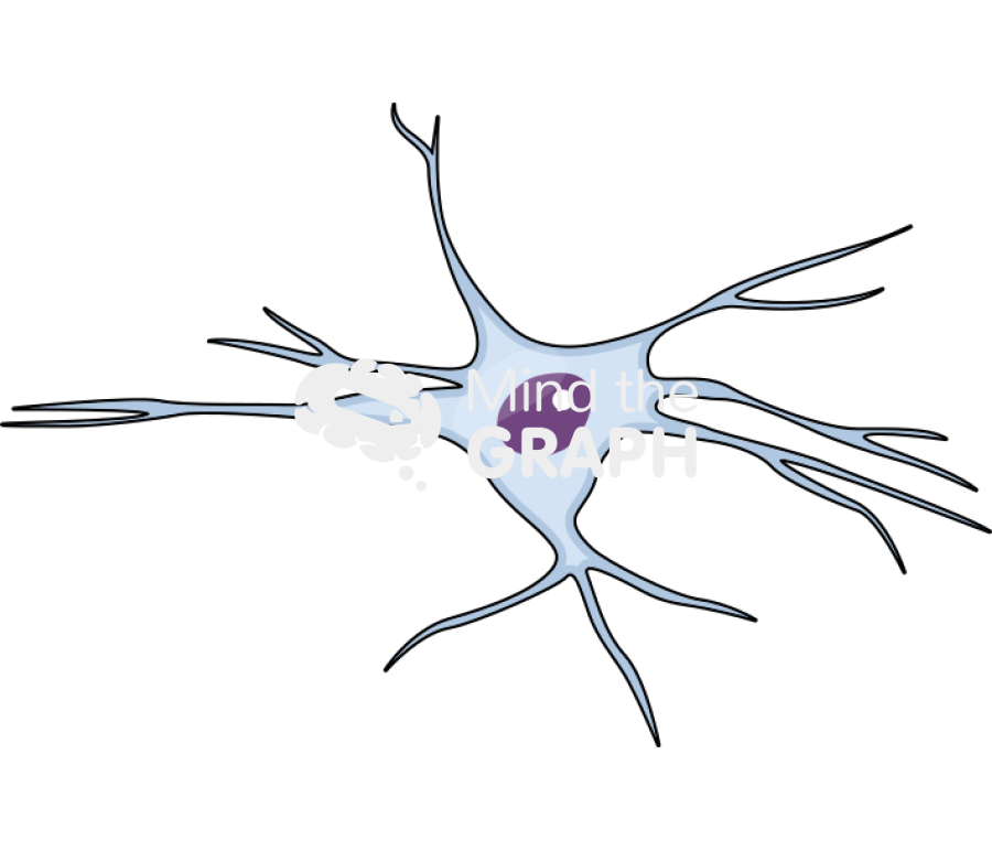 Cell oligodendrocyte Icons, Symbols, Pictures, and Images