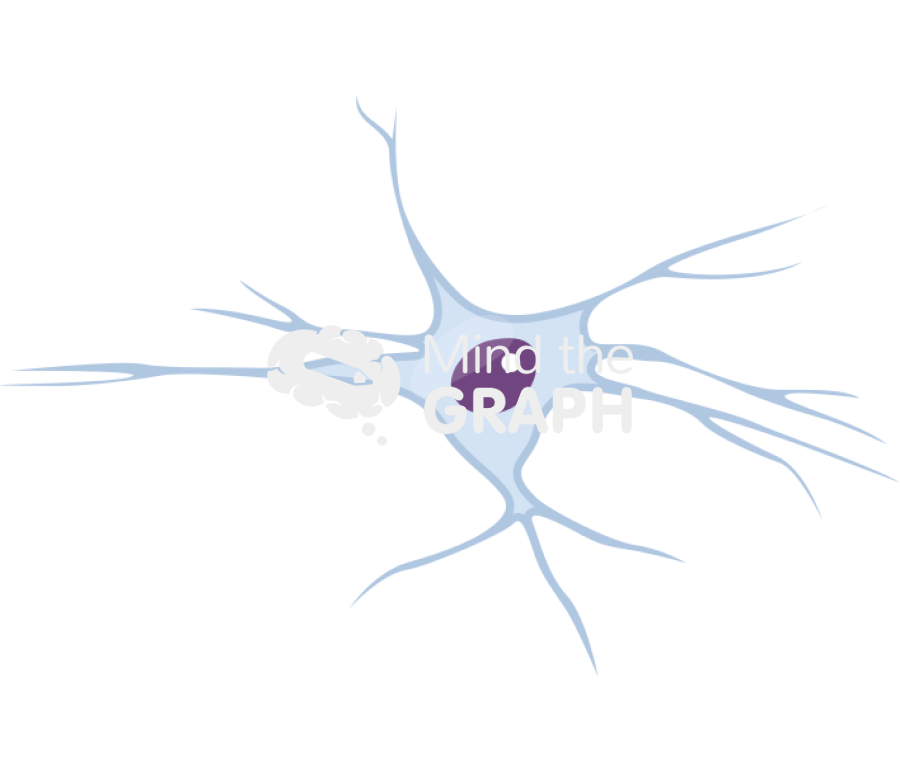 Cell oligodendrocyte Icons, Symbols, Pictures, and Images