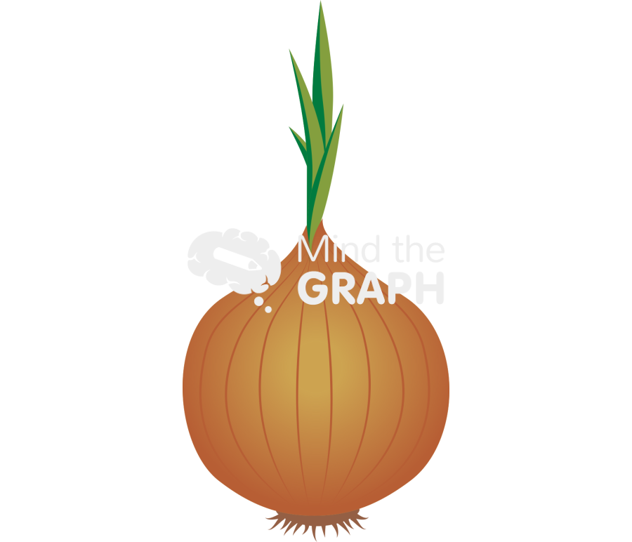 Onion Icons, Symbols, Pictures, and Images