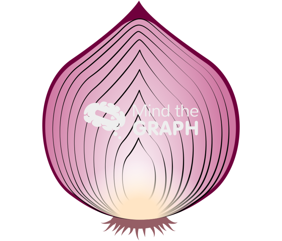 Onion purple open Icons, Symbols, Pictures, and Images