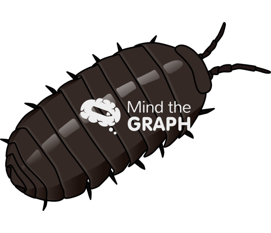 Oniscidea isopoda Icons, Symbols, Pictures, and Images