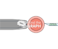 Oocyte reconstruction Icons, Symbols, Pictures, and Images