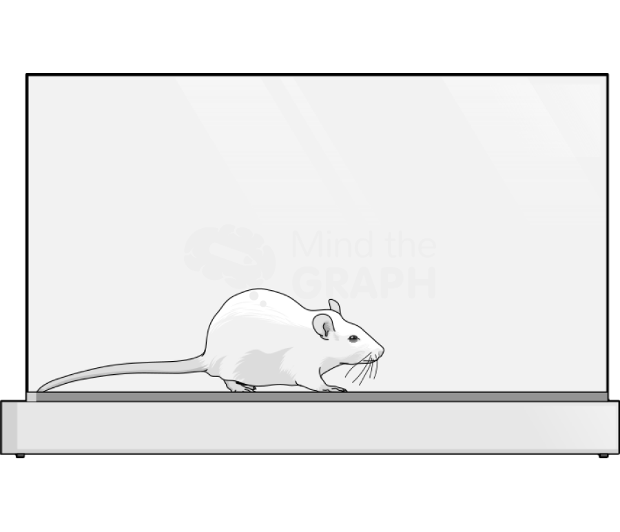 Open field 1 Icons, Symbols, Pictures, and Images