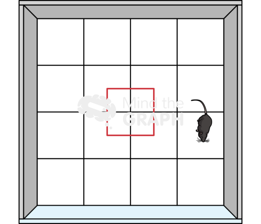 Open field test superior perspective Icons, Symbols, Pictures, and Images