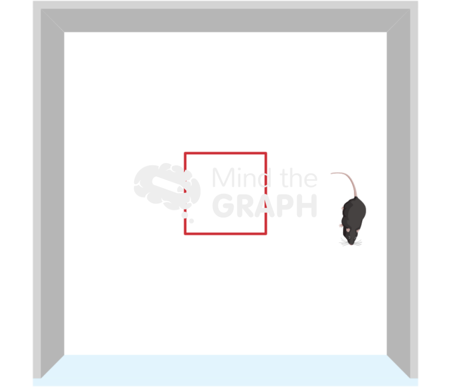 Open field test superior perspective Icons, Symbols, Pictures, and Images