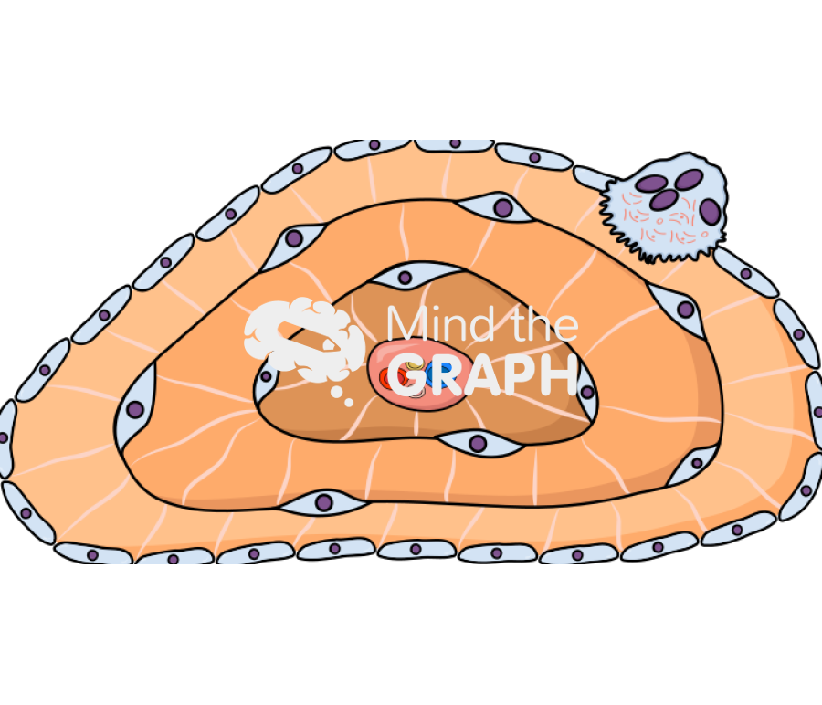 Osteon isolated Icons, Symbols, Pictures, and Images