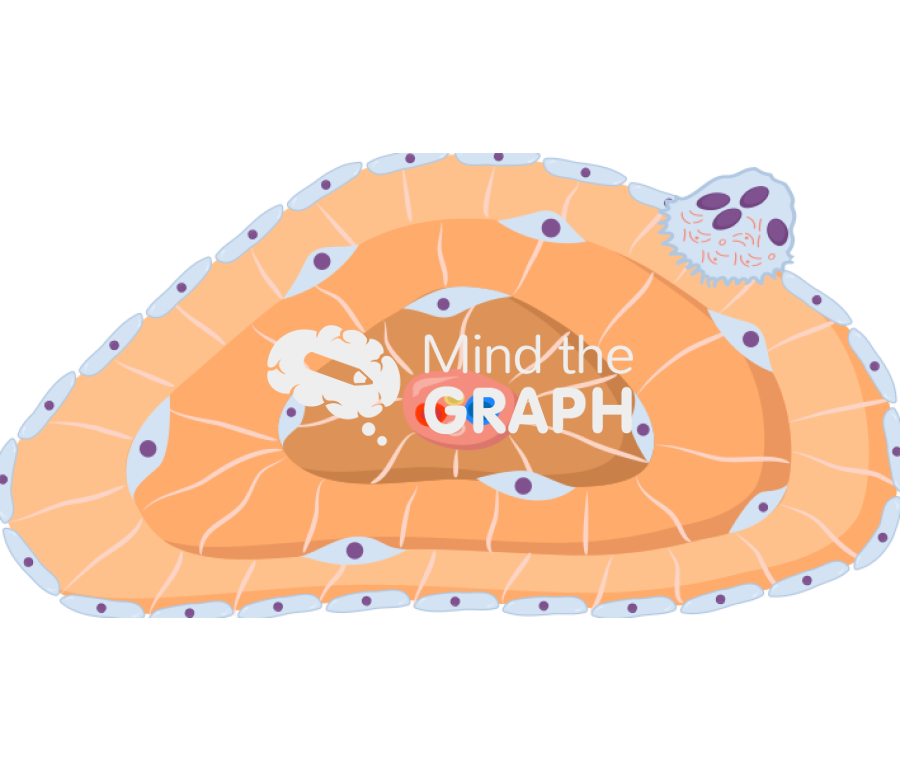 Osteon isolated Icons, Symbols, Pictures, and Images