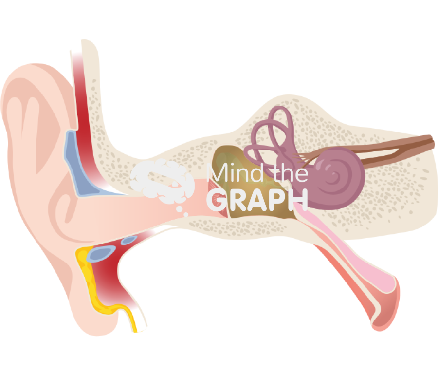 Otitis outer middle inner ear structure Icons, Symbols, Pictures, and Images