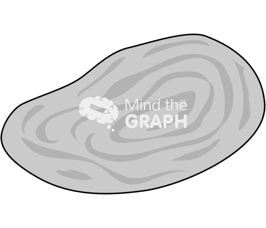 Ovary Icons, Symbols, Pictures, and Images