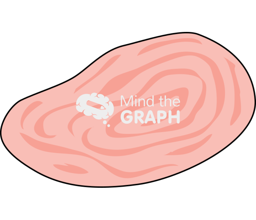 Ovary Icons, Symbols, Pictures, and Images