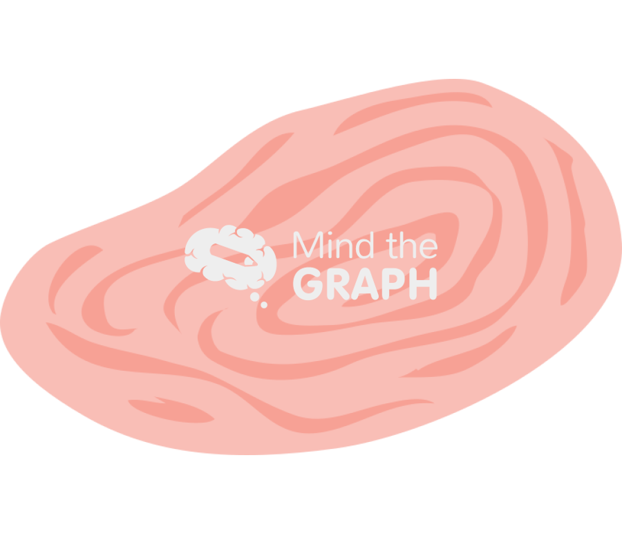 Ovary Icons, Symbols, Pictures, and Images