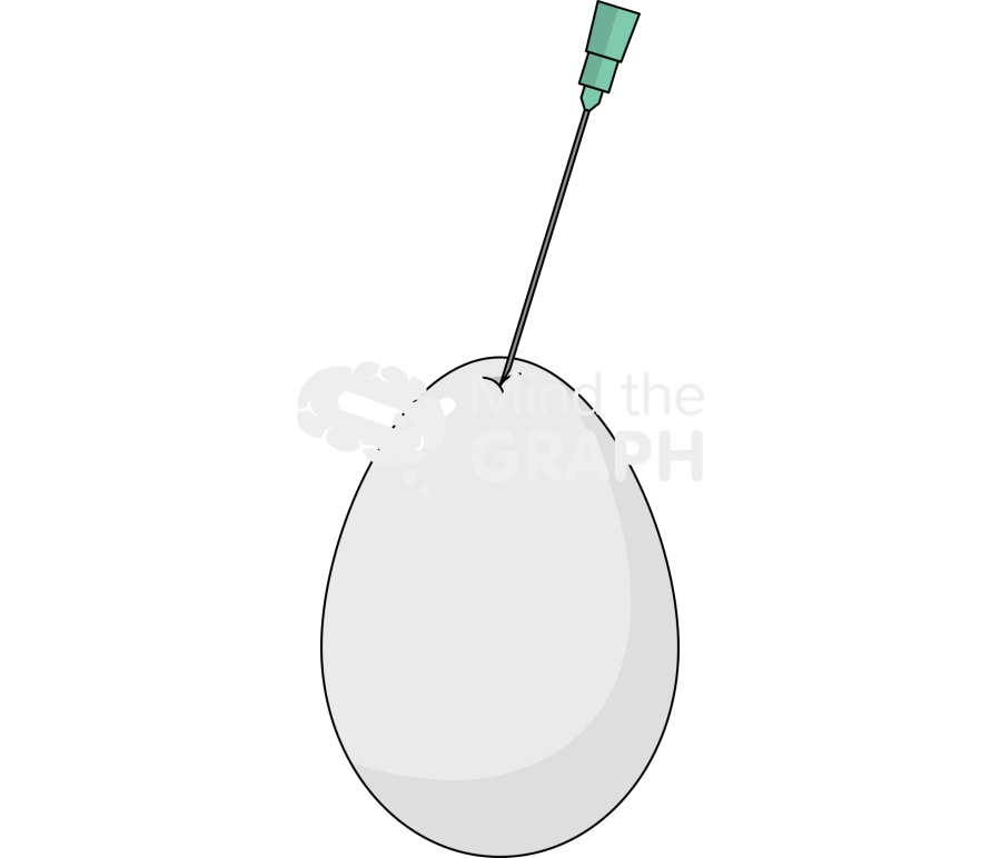 Ovo human cancer cell puncturing Icons, Symbols, Pictures, and Images