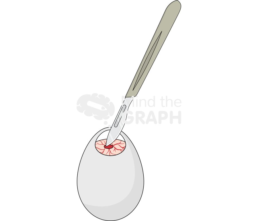 Ovo human cancer cell sacrifice Icons, Symbols, Pictures, and Images