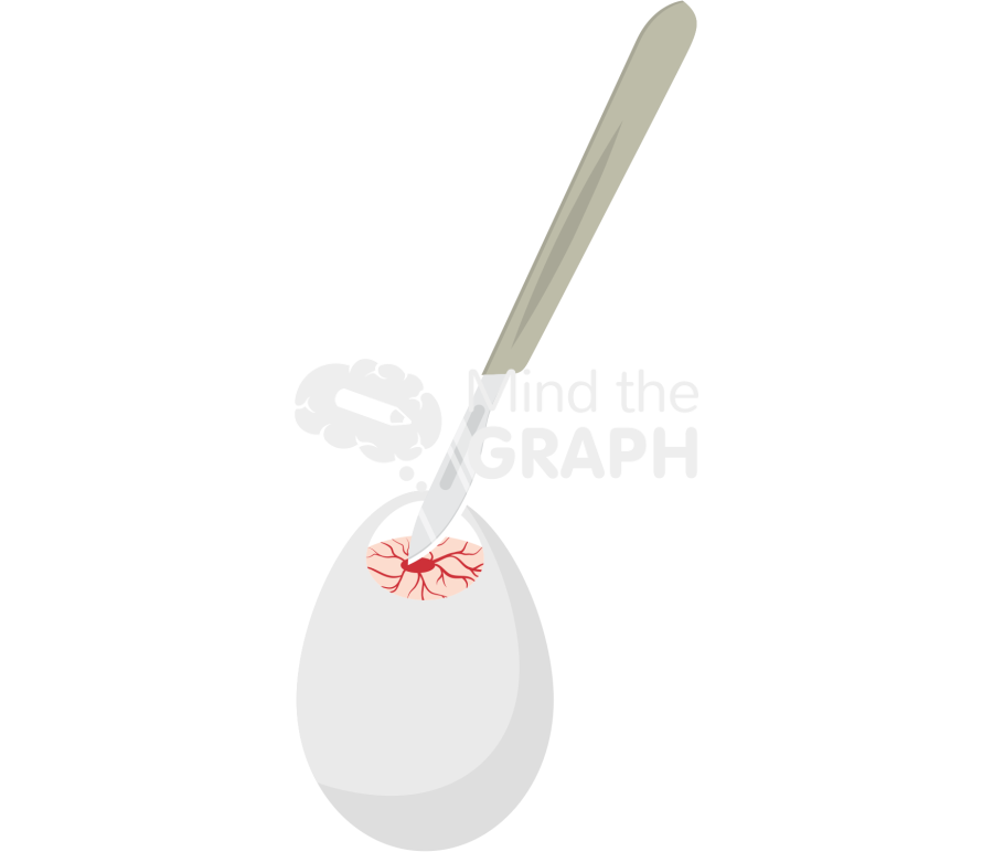 Ovo human cancer cell sacrifice Icons, Symbols, Pictures, and Images