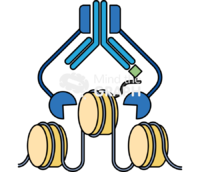 Pag mnase cut run - Edit and Customize Icons of Pag mnase cut run Pag mnase cut run Icons, Symbols, Pictures, and Images