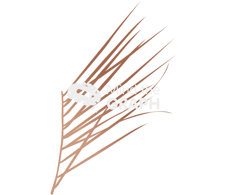 Palm leaf exsiccate Icons, Symbols, Pictures, and Images