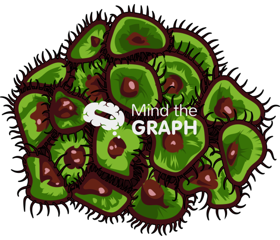 Palythoa grandis coral Icons, Symbols, Pictures, and Images