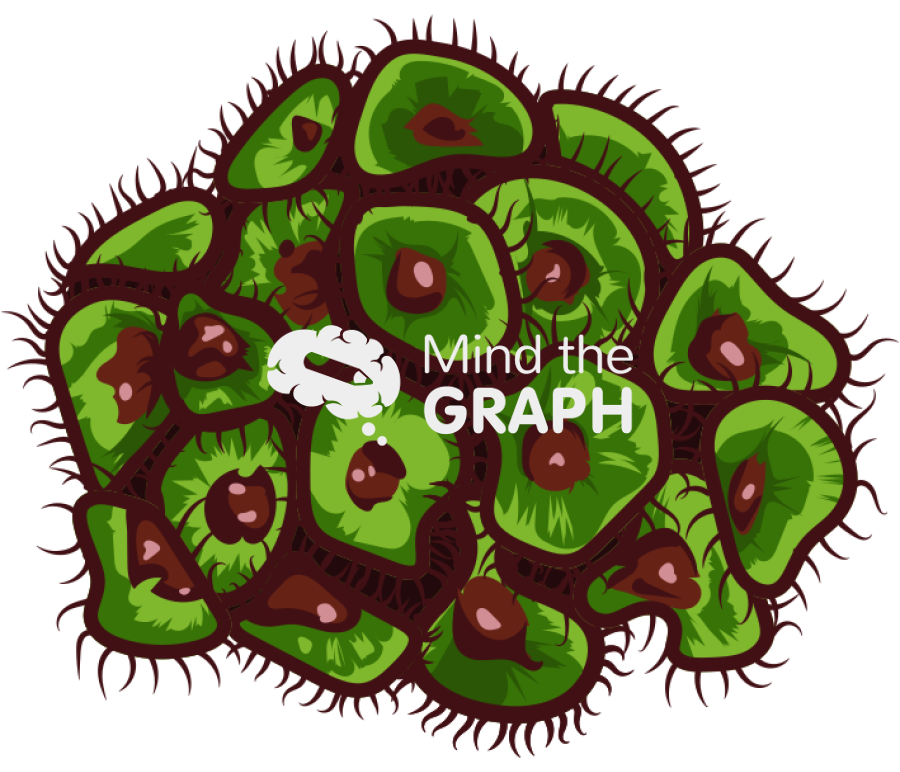 Palythoa grandis coral Icons, Symbols, Pictures, and Images