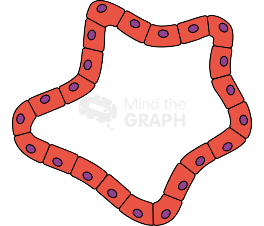 Pancreatic intraepithelial neoplasia panin Icons, Symbols, Pictures, and Images