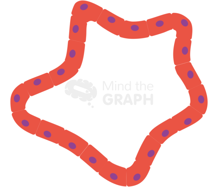 Pancreatic intraepithelial neoplasia panin Icons, Symbols, Pictures, and Images