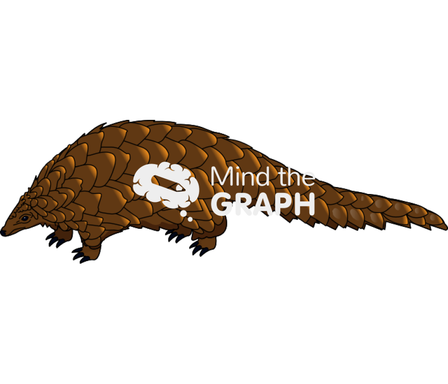 Pangolin Icons, Symbols, Pictures, and Images