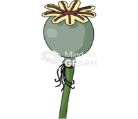 Papaver somniferum capsule stem 2 Icons, Symbols, Pictures, and Images