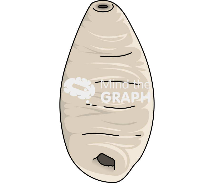 Paramphistomum Icons, Symbols, Pictures, and Images