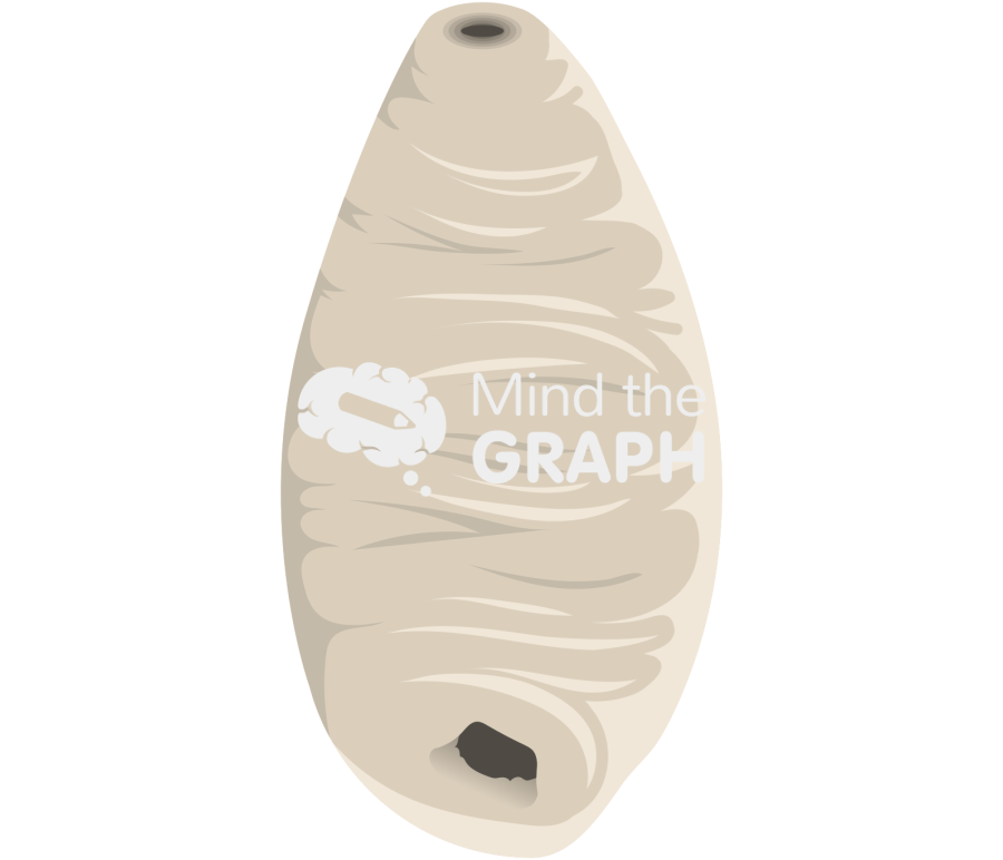 Paramphistomum Icons, Symbols, Pictures, and Images